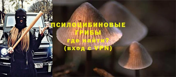 ALPHA-PVP Белокуриха