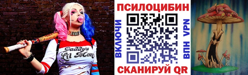 купить закладку  Краснокаменск  Галлюциногенные грибы Magic Shrooms 